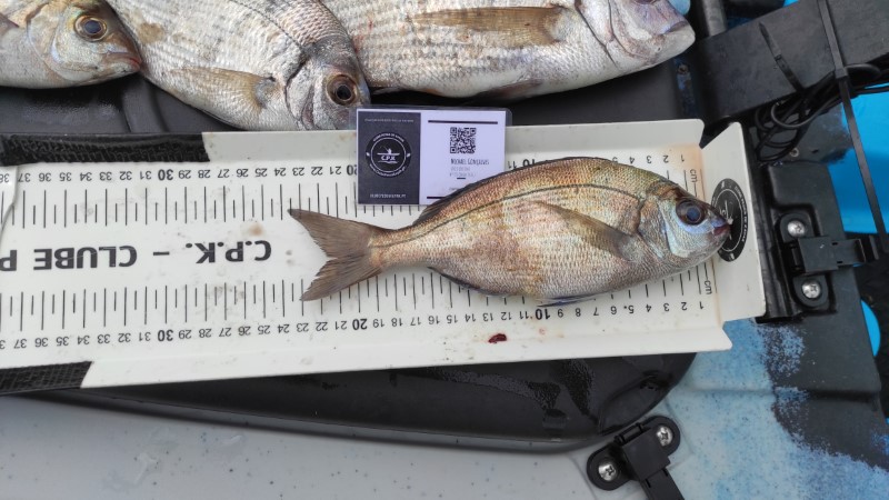 Fish Measure Picture